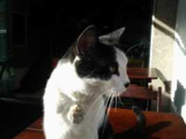 Free download Foto 9179 free photo or picture to be edited with GIMP online image editor