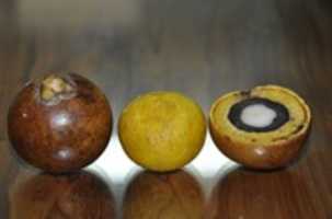 Free download Foto Mateus free photo or picture to be edited with GIMP online image editor