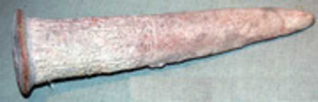 Free download Foundation cone with cuneiform inscription of Enmetena of Lagash free photo or picture to be edited with GIMP online image editor