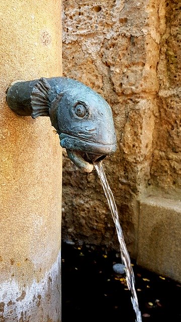 Fonte de água de bronze de cabeça de peixe de download grátis - foto ou imagem grátis para ser editada com o editor de imagens online GIMP