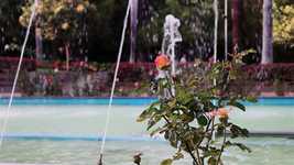 Free download Fountain Rose Park -  free video to be edited with OpenShot online video editor