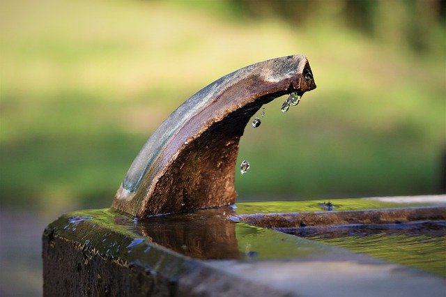 Free download Fountain Wet Water -  free photo or picture to be edited with GIMP online image editor