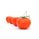 Four red tomatoes  screen for extension Chrome web store in OffiDocs Chromium