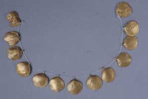 Free download Fourteen Shell Jewelry Elements free photo or picture to be edited with GIMP online image editor