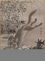 Free download Fox Catching Bird free photo or picture to be edited with GIMP online image editor