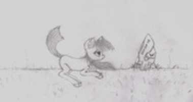 Free download Fox From Stars free photo or picture to be edited with GIMP online image editor