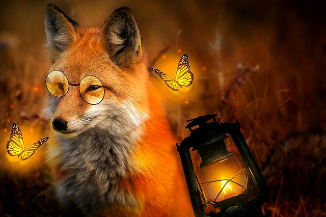 Free download Fox Lantern Butterfly -  free photo or picture to be edited with GIMP online image editor