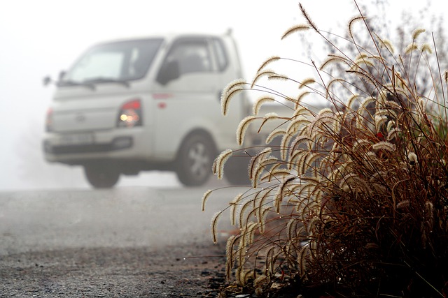 Téléchargement gratuit d'une image gratuite de balade en hiver en voiture de route en queue de renard à modifier avec l'éditeur d'images en ligne gratuit GIMP