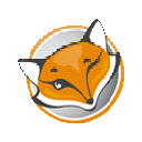 FoxyProxy Basic  screen for extension Chrome web store in OffiDocs Chromium