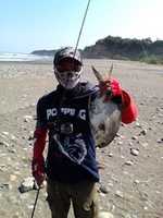 Free download fr_14 free photo or picture to be edited with GIMP online image editor