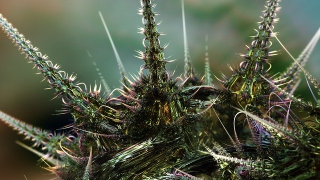 Free download Fractal Art Fractals Fragmentarium -  free illustration to be edited with GIMP free online image editor