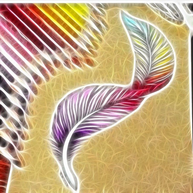 Free download Fractal Colors Feathers -  free illustration to be edited with GIMP free online image editor