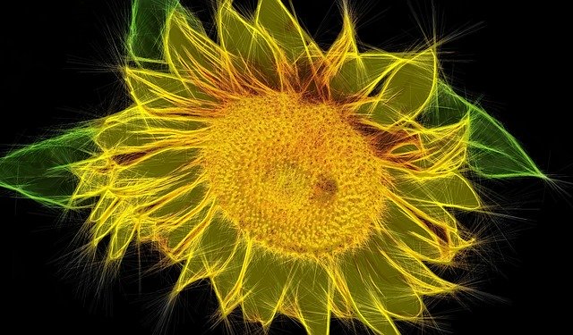 Free download Fractal Flower Fantasy -  free illustration to be edited with GIMP free online image editor
