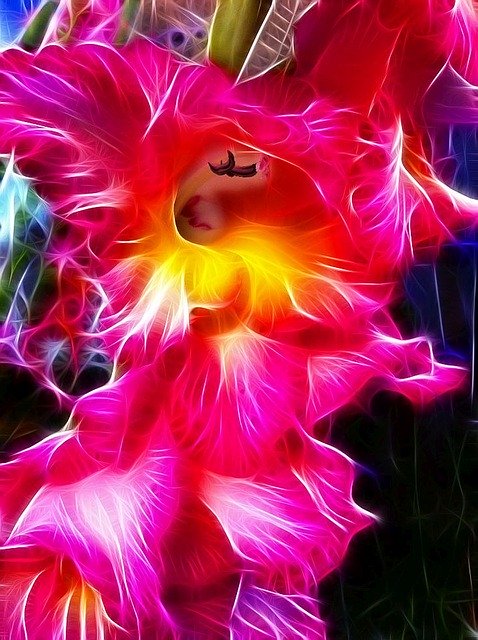 Free download Fractalius Gladiolus Image Editing -  free illustration to be edited with GIMP free online image editor