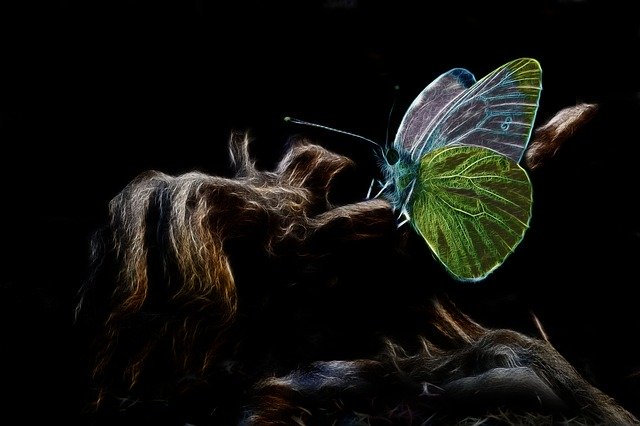 Free graphic Fractalius Green Veined White -  to be edited by GIMP free image editor by OffiDocs