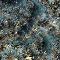 Free download Fractal v633v6 free photo or picture to be edited with GIMP online image editor