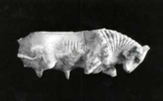 Free download Fragmentary openwork panel free photo or picture to be edited with GIMP online image editor