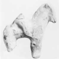 Free download Fragment of a Horse free photo or picture to be edited with GIMP online image editor