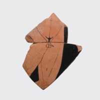 Free download Fragment of a terrracotta neck-amphora (jar) free photo or picture to be edited with GIMP online image editor
