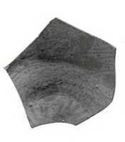 Free download Fragment of painted ware free photo or picture to be edited with GIMP online image editor