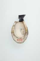 Free download Fragment of toilet jar free photo or picture to be edited with GIMP online image editor