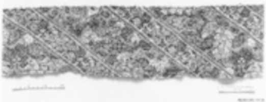 Free download Fragment of Womans Trousering free photo or picture to be edited with GIMP online image editor