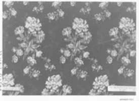 Free download Fragments (2) free photo or picture to be edited with GIMP online image editor