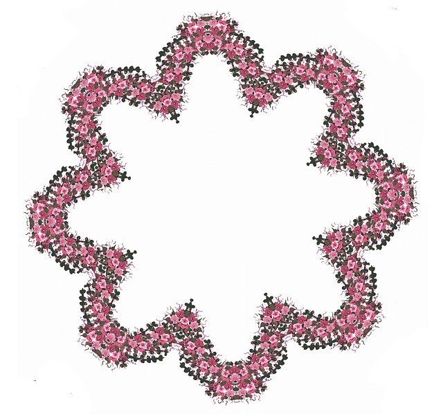 Free download Frame Border Floral -  free illustration to be edited with GIMP free online image editor