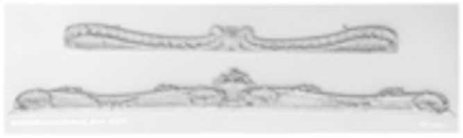 Free download Frame fragment (cross-bar) free photo or picture to be edited with GIMP online image editor