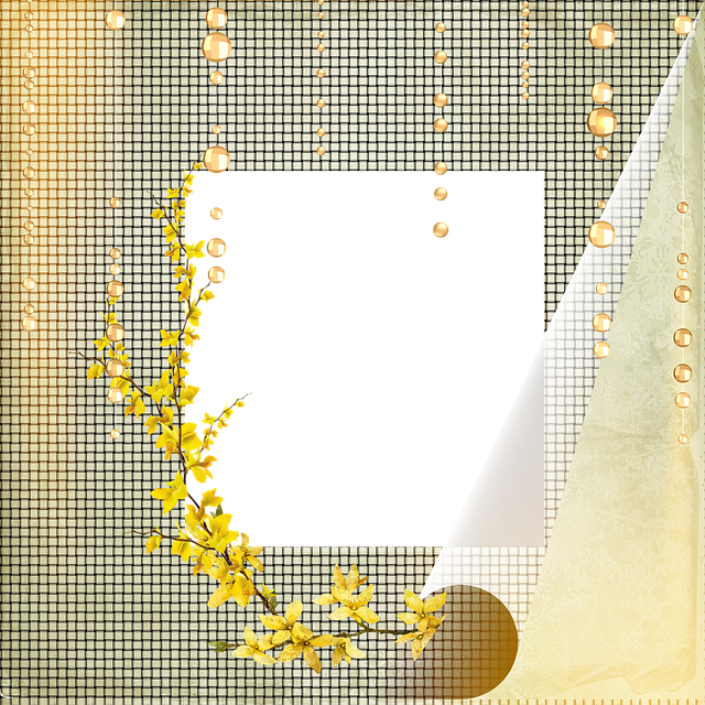 Free download Framework Frame Transparent Square -  free illustration to be edited with GIMP free online image editor