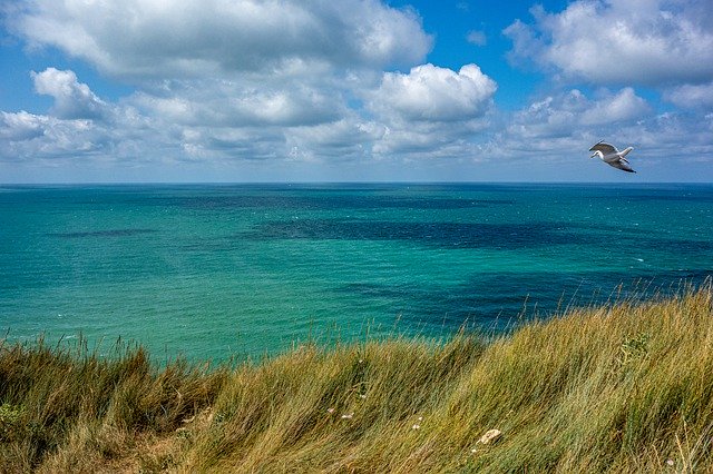 무료 다운로드 France Fécamp Normandy - 무료 사진 또는 김프 온라인 이미지 편집기로 편집할 수 있는 사진