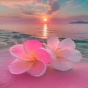 Frangipani flowers on the sea wallpaper  screen for extension Chrome web store in OffiDocs Chromium