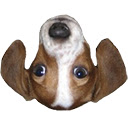 FrankerFaceZ Nightly  screen for extension Chrome web store in OffiDocs Chromium