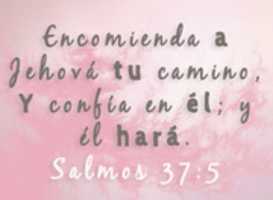 Free download Frase de la semana free photo or picture to be edited with GIMP online image editor