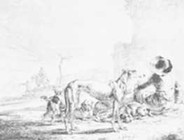 Free download Frederick de Vries free photo or picture to be edited with GIMP online image editor