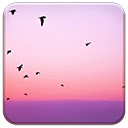 Free Birds  screen for extension Chrome web store in OffiDocs Chromium