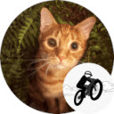 Free Rider Lite  screen for extension Chrome web store in OffiDocs Chromium