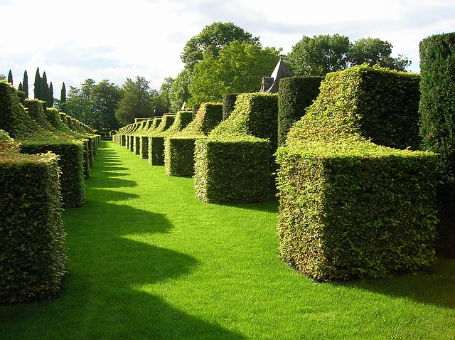 Free download french garden 18th century free picture to be edited with GIMP free online image editor