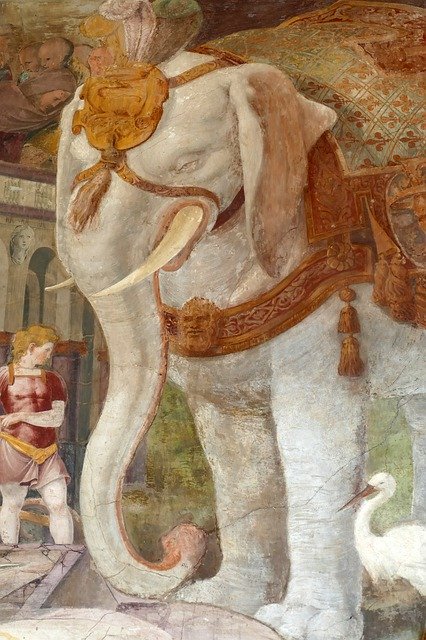 Scarica gratuitamente Fresco Mural Elephant: foto o immagine gratuita da modificare con l'editor di immagini online GIMP