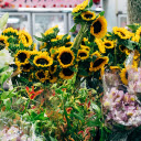 Fresh flower shop  screen for extension Chrome web store in OffiDocs Chromium