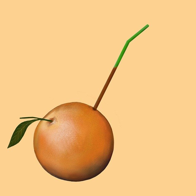 Free download Fresh Juice Grapefruit -  free illustration to be edited with GIMP free online image editor