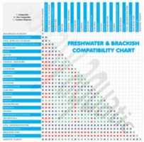 Free download freshwater_compatibility_chart free photo or picture to be edited with GIMP online image editor