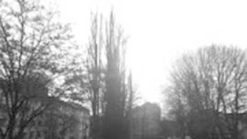 Free download friedrichshafen (germany) free photo or picture to be edited with GIMP online image editor