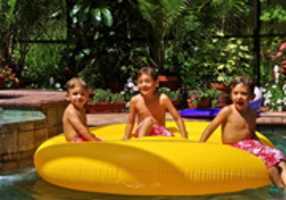 Free download Friends Forever free photo or picture to be edited with GIMP online image editor