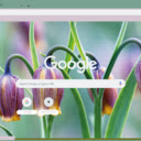 Fritillaria  screen for extension Chrome web store in OffiDocs Chromium