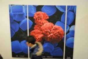 Free download Fritz Haber Institut, Berlin Dahlem free photo or picture to be edited with GIMP online image editor