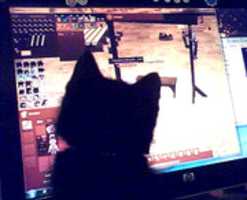 Free download frodoo3 free photo or picture to be edited with GIMP online image editor