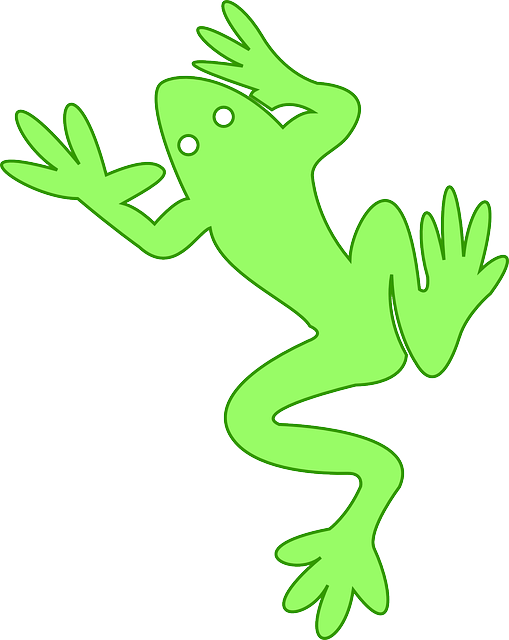 Free download Frog Amphibian - Free vector graphic on Pixabay free illustration to be edited with GIMP free online image editor