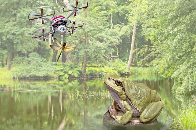 Descarga gratuita Frog Drone Dragonfly: foto o imagen gratuita para editar con el editor de imágenes en línea GIMP