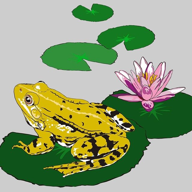 무료 다운로드 Frog Gerardo Crapeau - GIMP 무료 온라인 이미지 편집기로 편집할 수 있는 무료 일러스트레이션